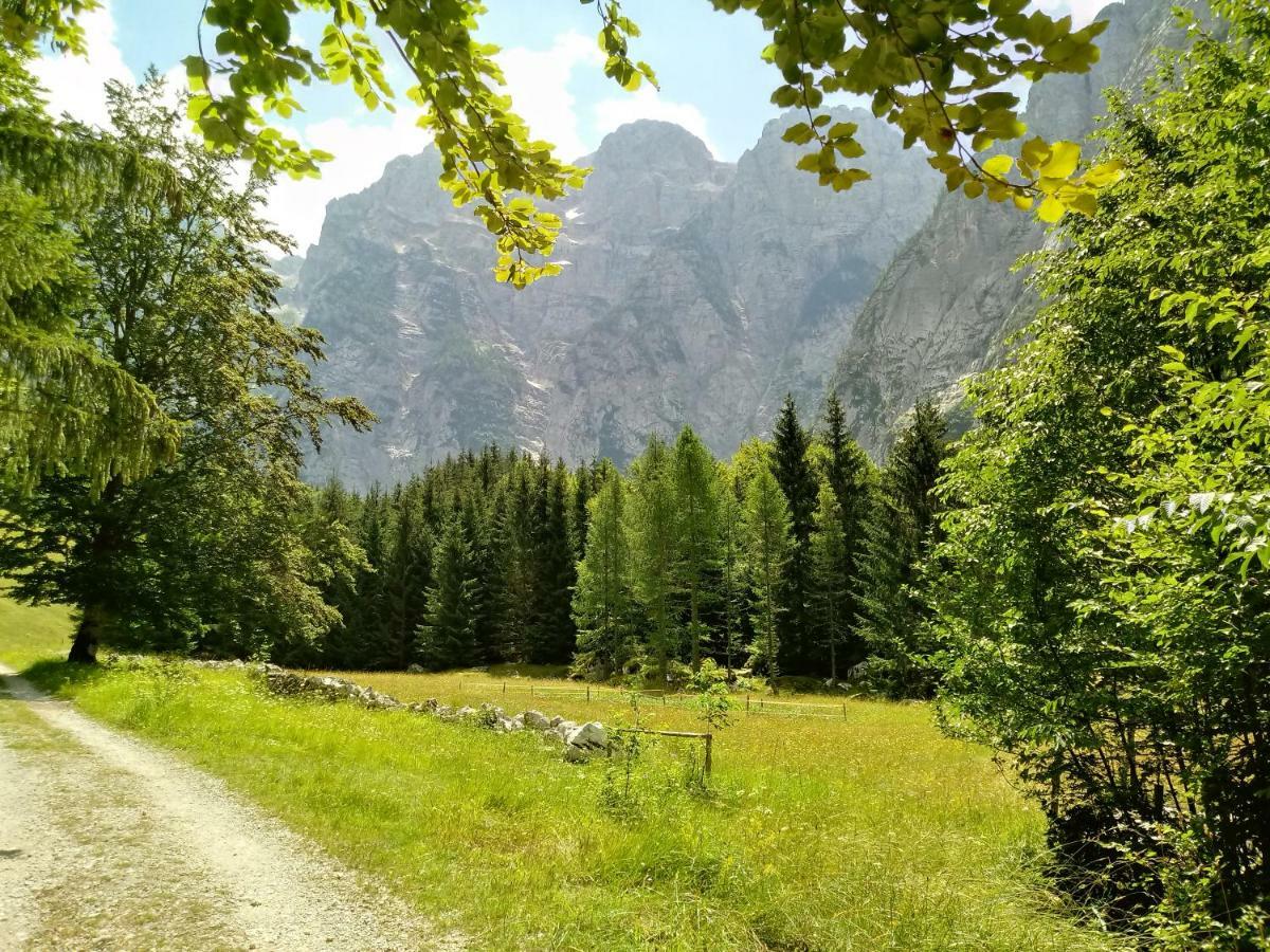 Beti Blu, Kaninska Vas Bovec Bagian luar foto